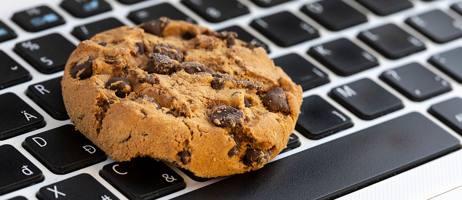 Website Cookie Policy For Anchor Beach Inn Crescent City